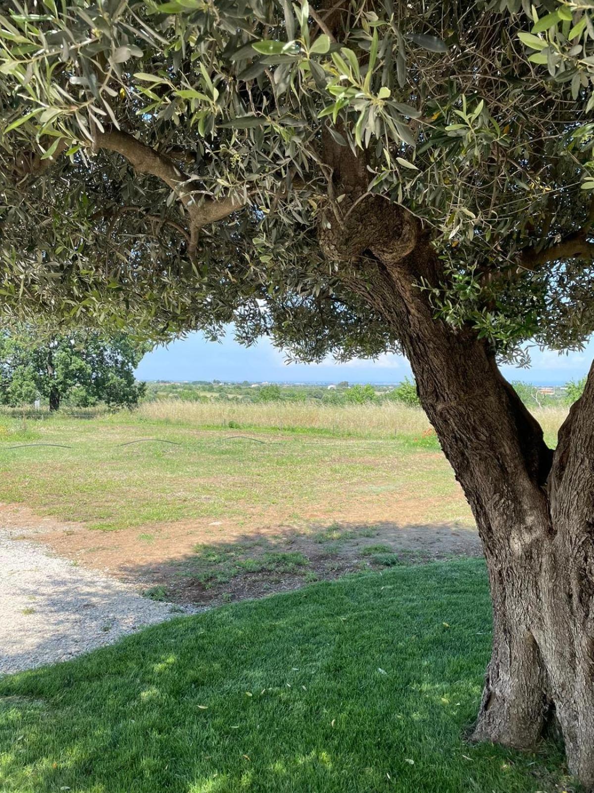 الشقق الفندقية نوفا سيريفي  Alta Area المظهر الخارجي الصورة
